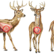 Image for article titled How to Sight-In Your Rifle For The Perfect Long-Range Shot